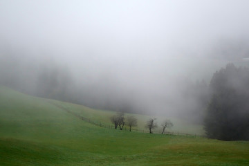STEIRISCHER NEBEL . STYRIAN FOG