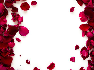 Romantic red rose petals on white background