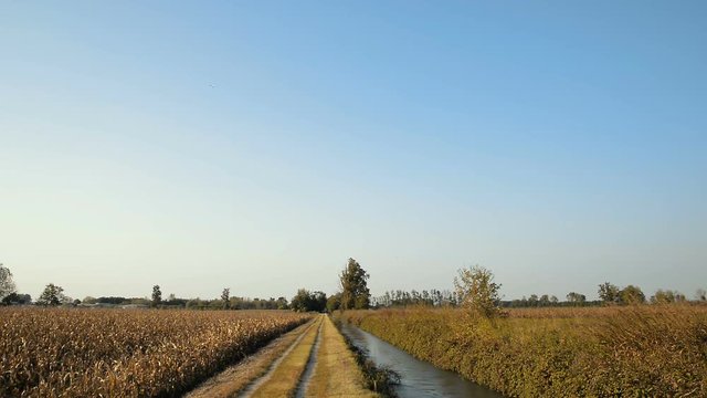 Country dirt road in Lomellina at sunset
