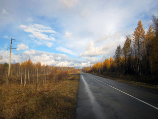 autumn  осень