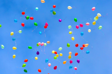 Balloons are flying in the sky. Holiday multi-colored helium bubble in flight.  