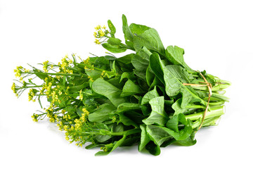 Obraz premium Choy Sum on White Background