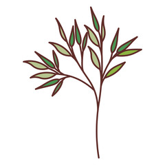 branch with leafs isolated icon