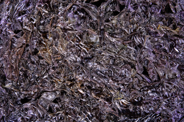 seaweed  background