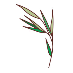 branch with leafs isolated icon