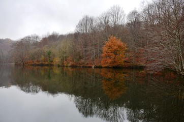 Fototapeta na wymiar Autumn Mood by the Lake