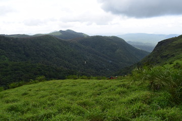 Obraz premium Z point, Chikmagalur
