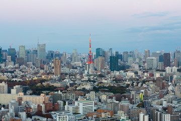 Fototapeta na wymiar 東京の夕景