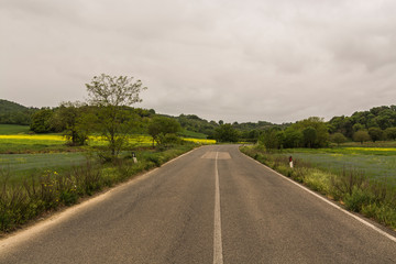 Tuscany, Italy - road in the middle of the fields
