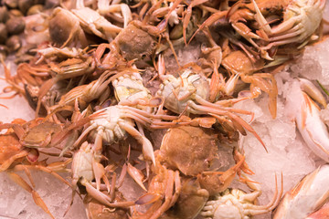 Of the market sea fish