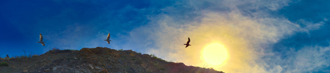 Fototapeta na wymiar The flight of three seagulls to the sun against the dramatic sky