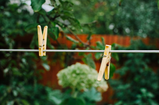 Clothespins in the summer garden