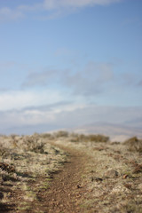 Excellent paths and trails for running or walking on hills with blue sky and mountain views in the distant horizon.