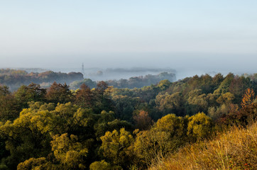 Dawn in a beautiful plain with several trees in a natural park. Silhouette of several layers of forest covered with morning fog.