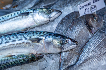 Whole mackerel for sale on a market stall