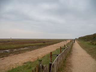 The Fence Line, Donna Nook Grey Seal Colony,  Lincolnshire.