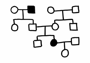 Heredogram freehand illustration