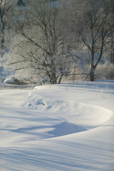 Ice covered trees on a cold Vermont morning, Stowe, Vermont, USA