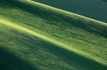 Minimalistic landscape with waves hills, green fields, South Moravia, Czech Republic