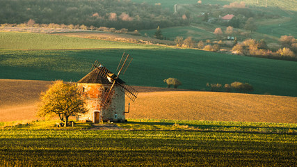Landscape with waves hills, autumn fields with mill.  South Moravia
