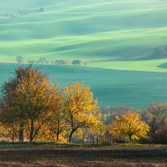 Landscape with waves hills, green fields and  trees, South Moravia