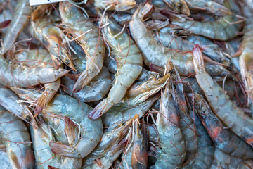 Uncooked Prawns
