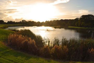 cheshire lake