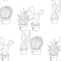 floral seamless pattern cactus in a flower pot