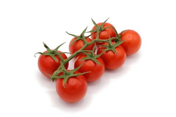red cocktail tomatoes on vine isolated on white