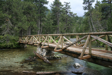 Fototapeta na wymiar Puente sobre río en el Pirineo español