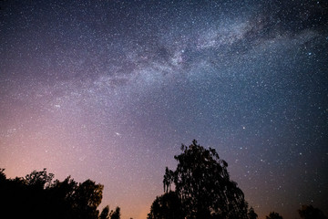 Scenic starry night sky with milky way in the forest