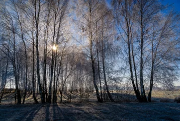 Foto auf Leinwand Słoneczny poranek z przymrozkiem i szronem, Podlasie, Polska © podlaski49