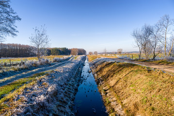 Słoneczny poranek z przymrozkiem i szronem, Podlasie, Polska