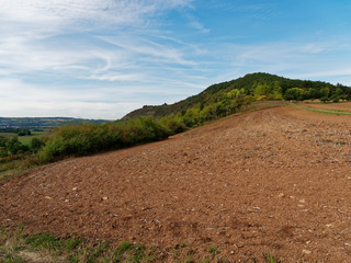 Muschelkalkfelsen und Naturschutzgebiet Hammelberg bei Hammelburg,  Landkreis Bad Kissingen,  Unterfranken,Franken, Bayern, Deutschland
