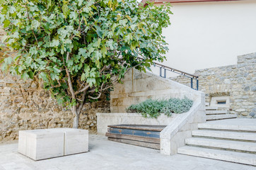Bench in the park in front of the Cathedral Peter and Paul in Pecs, Hungary