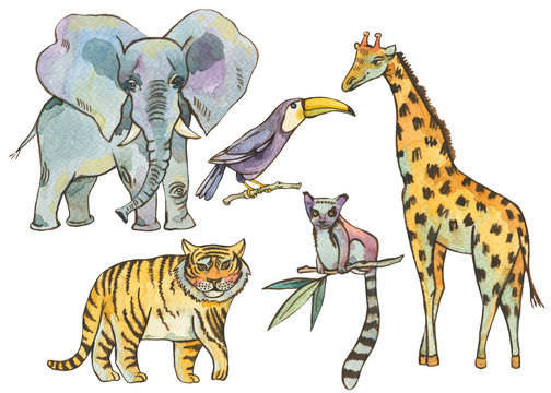 Watercolor tropical elements with elephant, tiger, giraffe, lemur and toucan
