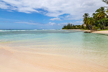 Fototapeta na wymiar An idyllic sandy beach on the island of Barbados