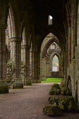 Fototapeta na wymiar Old Tintern Abbey, Wales