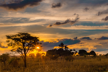 sunset in serengeti