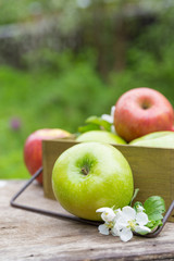 Fresh sweet juicy red and green apples with flowers on a wooden background