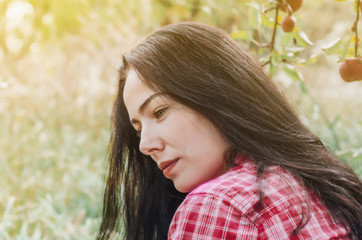 young woman in a plaid pink shirt is sitting in an old apple orchard under a tree with large red apples. Harvesting. Healthy food. Autumn mood.