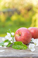 Fresh sweet juicy red apples with flowers on a wooden background