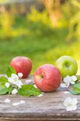 Fresh sweet juicy red and green apples with flowers on a wooden background