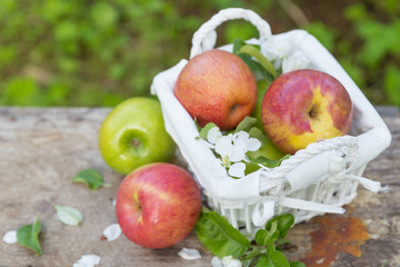 Fresh sweet juicy red and green apples with flowers on a wooden background