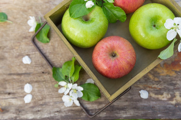 Fresh sweet juicy red and green apples with flowers on a wooden background