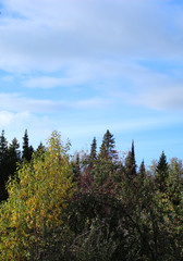 forest sky landscape nature tree mountain trees green blue clouds summer grass autumn cloud view spring 