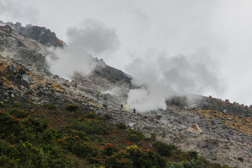 Surroundings of the volcano Sibayak on the island of Sumatra in Indonesia. Wildlife Volcanoes