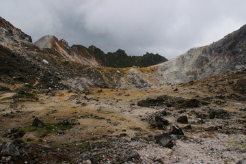 Fototapeta na wymiar Surroundings of the volcano Sibayak on the island of Sumatra in Indonesia. Wildlife Volcanoes