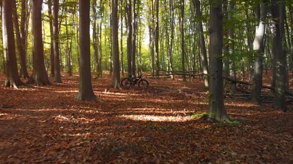 Electric Bicycle Parked in Ukrainian Forest in the Fall