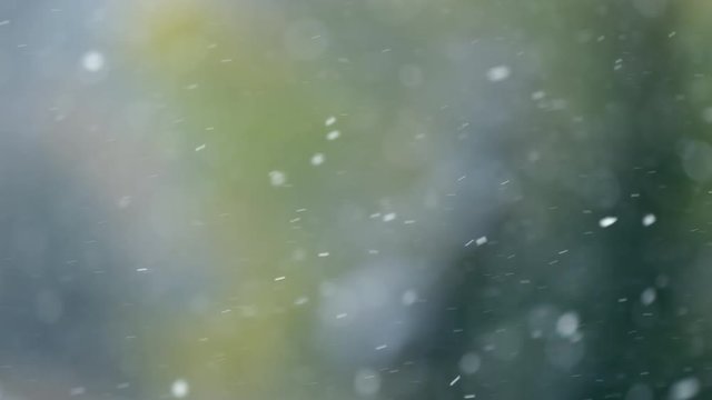 Snow falls on a cold fall morning